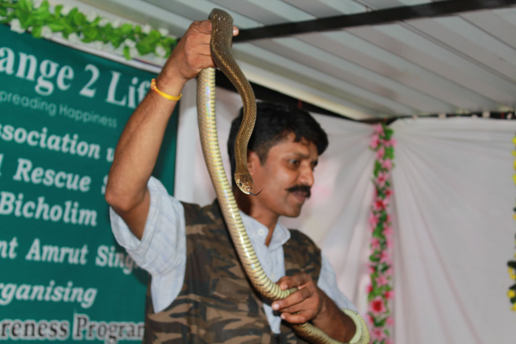 Snake Awareness - snake-awareness-1